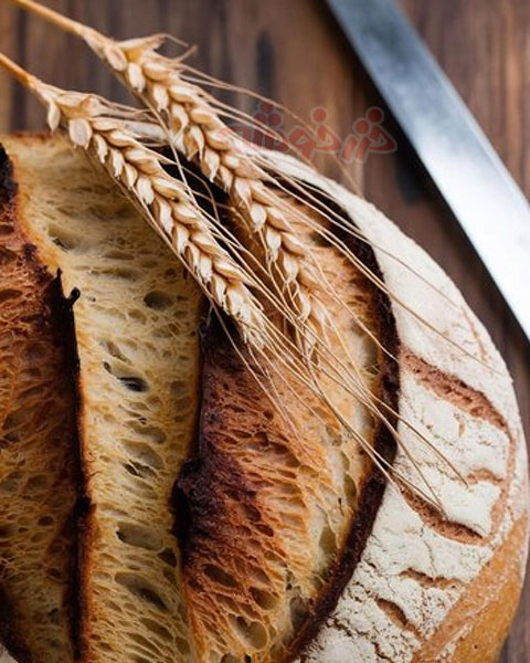 breakfast-snacks-wheat-flour_khazarkhooshe_img-w480h600-08