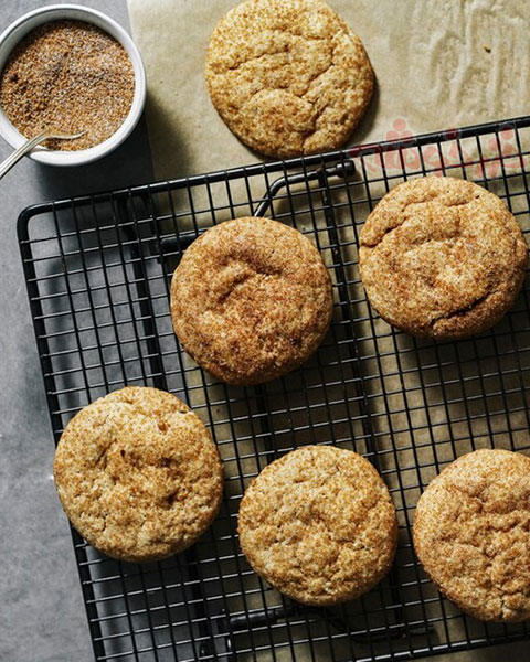 cookie-snickerdoodle_khazarkhooshe_img-02-w480h600