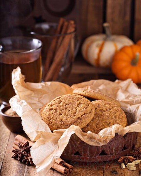 cookie-snickerdoodle_khazarkhooshe_img-03-w480h600