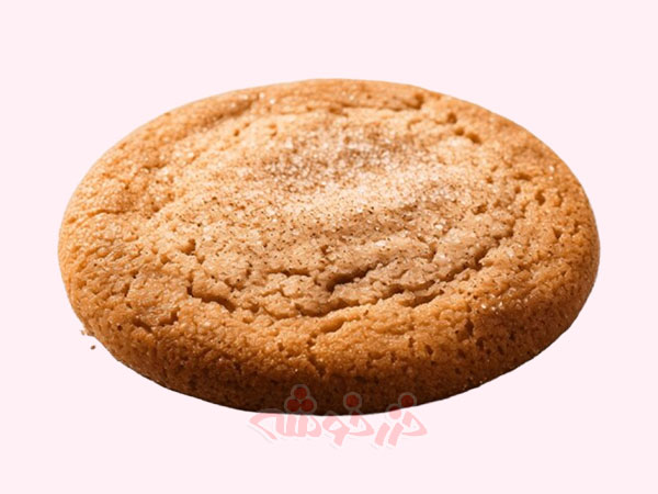 cookie-snickerdoodle_khazarkhooshe_img-03-w600h450-bg