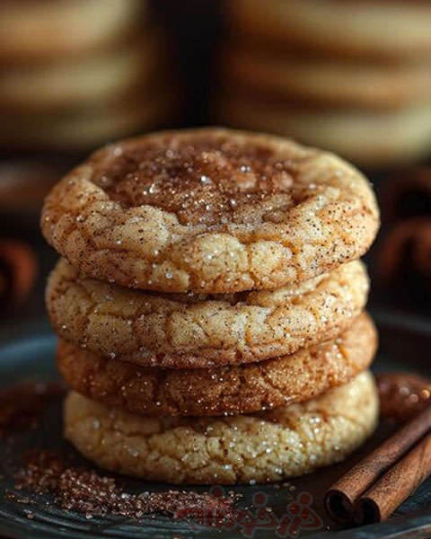 cookie-snickerdoodle_khazarkhooshe_img-04-w480h600