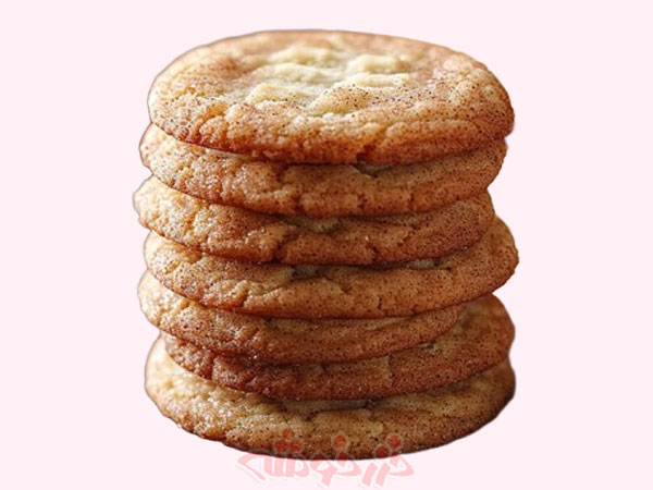 cookie-snickerdoodle_khazarkhooshe_img-04-w600h450-bg