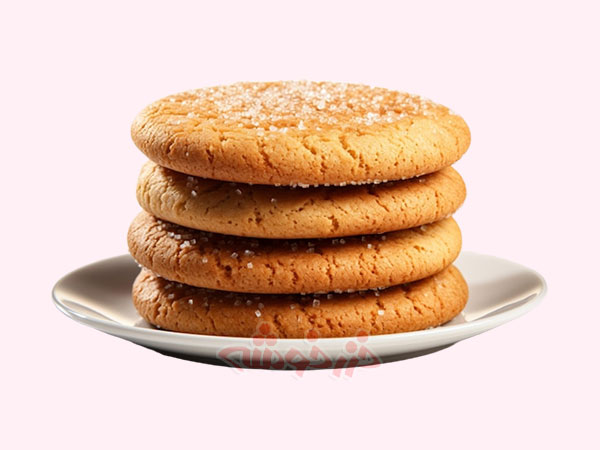 cookie-snickerdoodle_khazarkhooshe_img-05-w600h450-bg