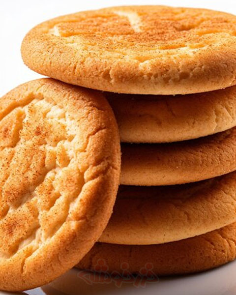 cookie-snickerdoodle_khazarkhooshe_img-06-w480h600