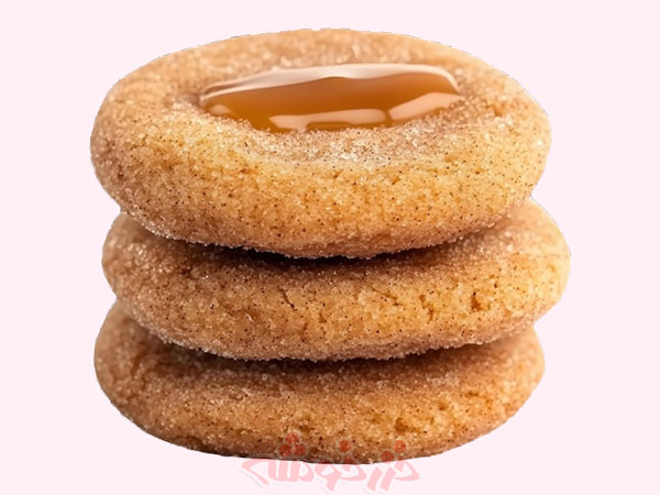 cookie-snickerdoodle_khazarkhooshe_img-06-w600h450-bg