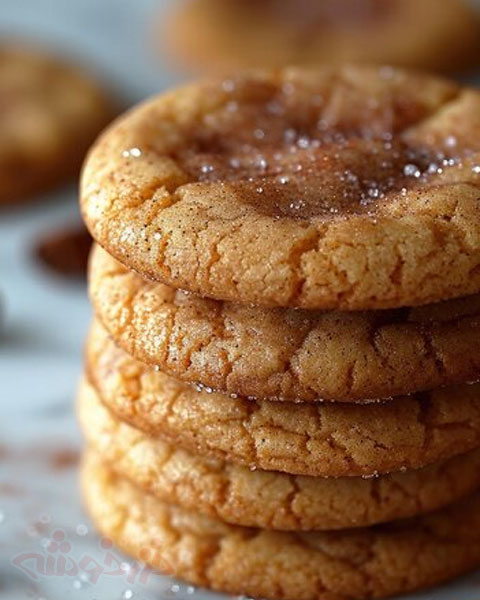 cookie snickerdoodle khazarkhooshe img 09 w480h600