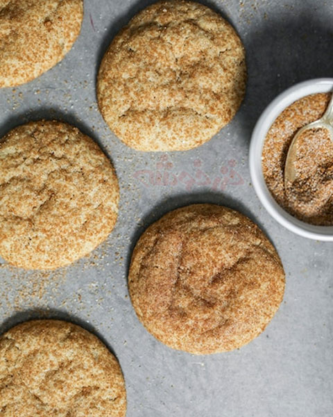 cookie snickerdoodle khazarkhooshe img 10 w480h600