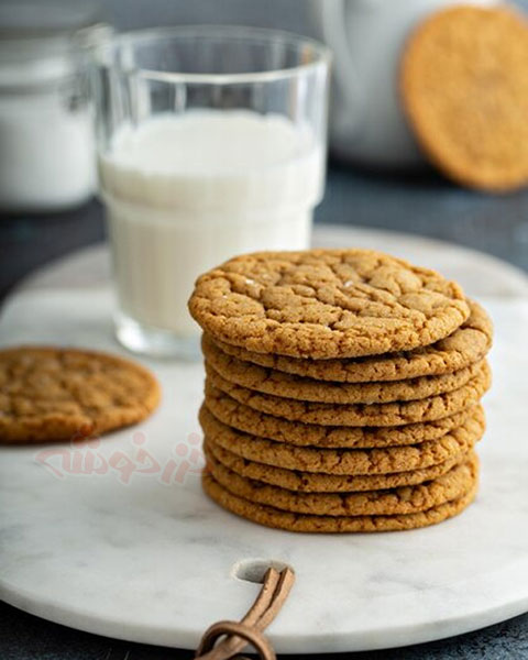 cookie-snickerdoodle_khazarkhooshe_img-13-w480h600