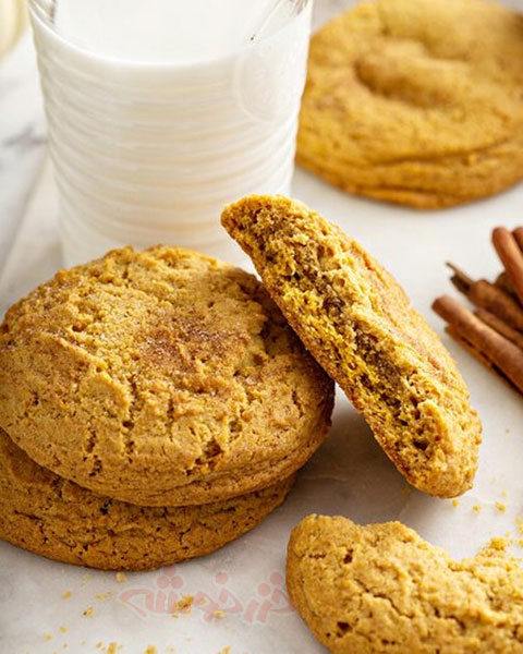cookie-snickerdoodle_khazarkhooshe_img-14-w480h600