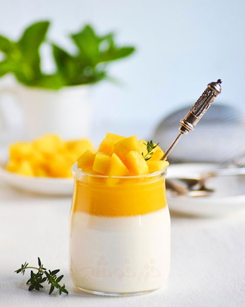 hong-kong-mango-pudding_khazarkhooshe_img-03-w480h600