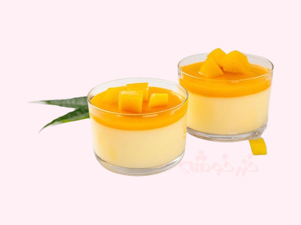 hong-kong-mango-pudding_khazarkhooshe_img-04-w600h450-bg