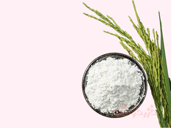 rice-flour_khazarkhooshe_img-01-w600h450-bg