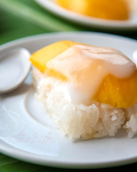 thai mango sticky rice khazarkhooshe img 11 w480h600