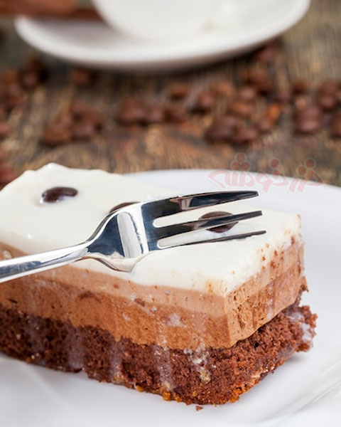 cake-pastry-wheat-flour_khazarkhooshe_img-w480h600-06