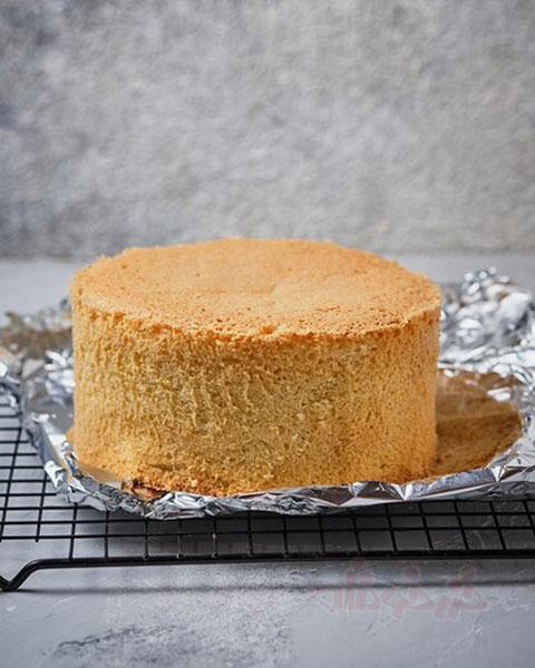 cake-sponge_khazarkhooshe_img-w480h600-04 cake sponge khazarkhooshe img w480h600 04 طرز تهیه کیک اسفنجی با آرد ذرت,دستور پخت کیک اسفنجی با آرد ذرت,روش پخت کیک اسفنجی با آرد ذرت,کیک با آرد ذرت برای رژیم بدون گلوتن