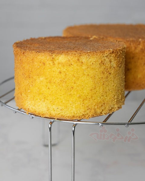 cake-sponge_khazarkhooshe_img-w480h600-08 cake sponge khazarkhooshe img w480h600 08 طرز تهیه کیک اسفنجی با آرد ذرت,دستور پخت کیک اسفنجی با آرد ذرت,روش پخت کیک اسفنجی با آرد ذرت,کیک با آرد ذرت برای رژیم بدون گلوتن