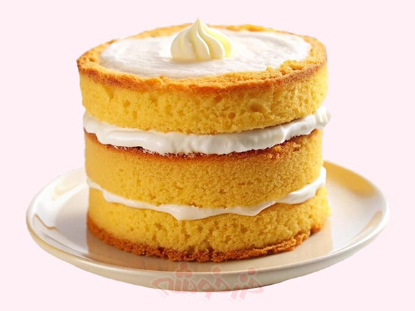 cake-sponge_khazarkhooshe_img-w600h450-07 cake sponge khazarkhooshe img w600h450 07 طرز تهیه کیک اسفنجی با آرد ذرت,دستور پخت کیک اسفنجی با آرد ذرت,روش پخت کیک اسفنجی با آرد ذرت,کیک با آرد ذرت برای رژیم بدون گلوتن