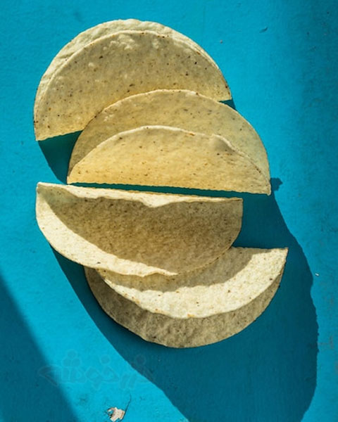 bread tortilla khazarkhooshe img w480h600 01 طرز تهیه نان ترتیلا با آرد ذرت, نان ترتیلا مکزیکی با آرد ذرت, دستور پخت نان ترتیلا با آرد ذرت, روش پخت نان ترتیلا با آرد ذرت