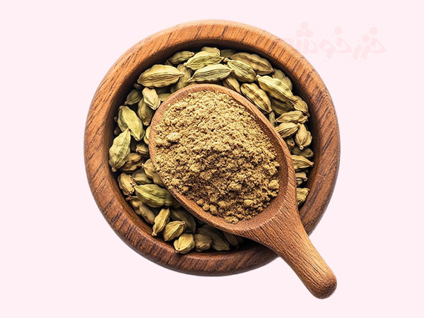 cardamom benefits khazarkhooshe img w600h450 01 خواص هل, کاربردهای پودر هل, کاربرد هل, هل در آشپزی ایرانی