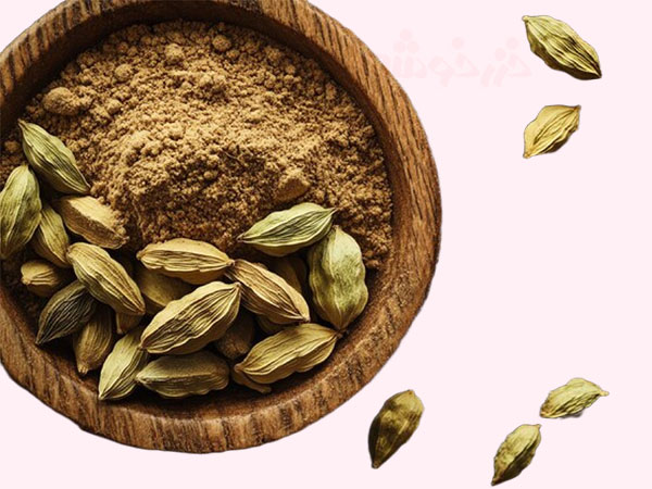 cardamom benefits khazarkhooshe img w600h450 12 خواص هل, کاربردهای پودر هل, کاربرد هل, هل در آشپزی ایرانی