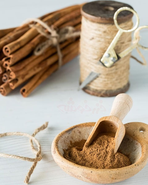 cinnamon-benefits_khazarkhooshe_img-w480h600-05 cinnamon benefits khazarkhooshe img w480h600 05 خواص دارچین, کاربردهای پودر دارچین, دارچین در آشپزی ایرانی, کاربرد دارچین
