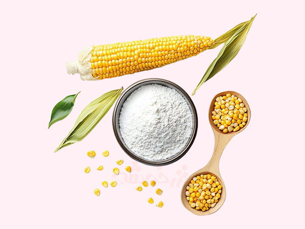 corn-flour-benefits-non-food_khazarkhooshe_img-w600h450-10 corn flour benefits non food khazarkhooshe img w600h450 10 فواید غیرخوراکی آرد ذرت, ماسک آرد ذرت برای پوست, کاربرد آرد ذرت در بهداشت خانگی, خواص آرد ذرت برای زیبایی, ضد تعریق طبیعی با آرد ذرت, تمیز کردن سطوح با آرد ذرت, ماسک خانگی آرد ذرت, آرد ذرت برای مو, فواید آرد ذرت برای ناخنها
