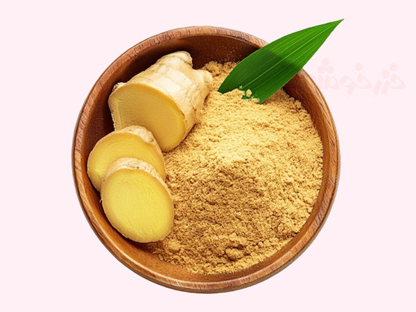 ginger benefits khazarkhooshe img w600h450 02 خواص زنجبیل, کاربردهای پودر زنجبیل, کاربرد زنجبیل, زنجبیل در آشپزی ایرانی