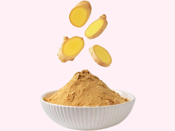 ginger benefits khazarkhooshe img w600h450 03 خواص زنجبیل, کاربردهای پودر زنجبیل, کاربرد زنجبیل, زنجبیل در آشپزی ایرانی