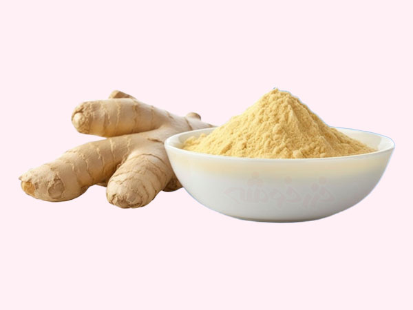 ginger benefits khazarkhooshe img w600h450 05 خواص زنجبیل, کاربردهای پودر زنجبیل, کاربرد زنجبیل, زنجبیل در آشپزی ایرانی