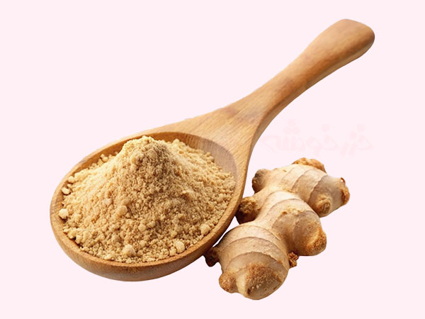 ginger benefits khazarkhooshe img w600h450 08 خواص زنجبیل, کاربردهای پودر زنجبیل, کاربرد زنجبیل, زنجبیل در آشپزی ایرانی