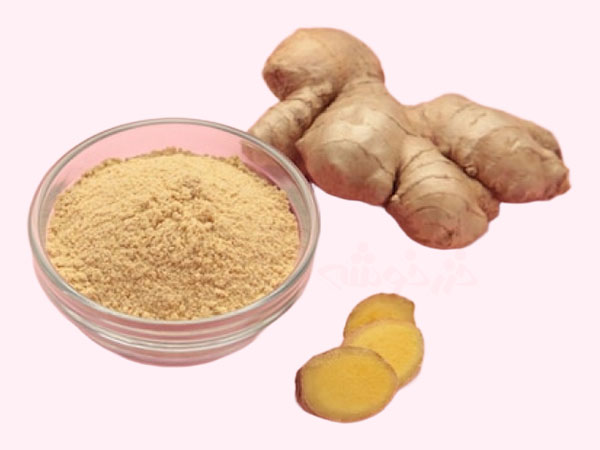 ginger benefits khazarkhooshe img w600h450 09 خواص زنجبیل, کاربردهای پودر زنجبیل, کاربرد زنجبیل, زنجبیل در آشپزی ایرانی