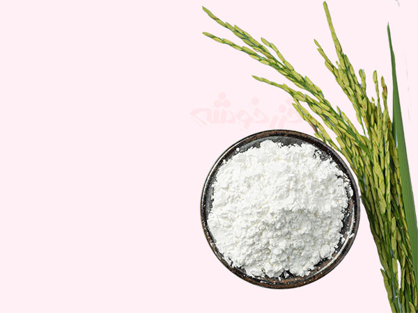 rice flour gluten free cooking khazarkhooshe img w600h450 03