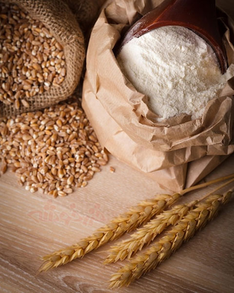 wheat flour choosing storing khazarkhooshe img w480h600 04