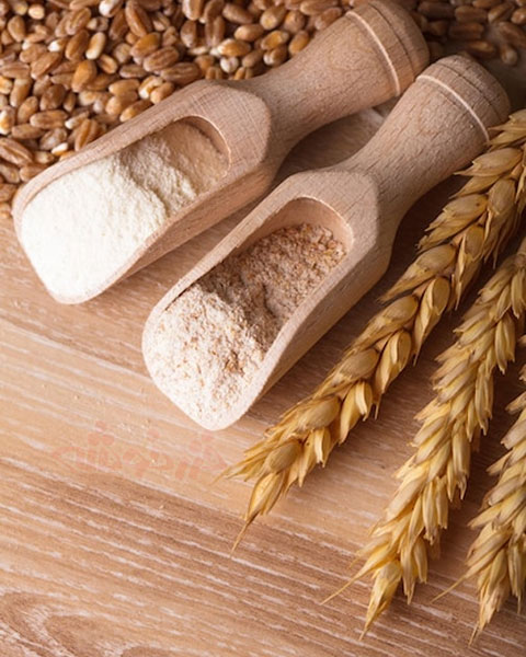 wheat flour choosing storing khazarkhooshe img w480h600 05