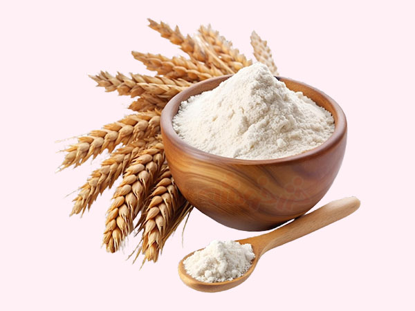 wheat flour choosing storing khazarkhooshe img w600h450 04