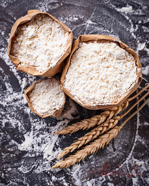 wheat flour types khazarkhooshe img w480h600 04 انواع آرد گندم خزرخوشه,انتخاب آرد گندم,خرید آرد گندم